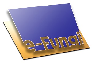 e-Fungi - Webservices for comparative genomics