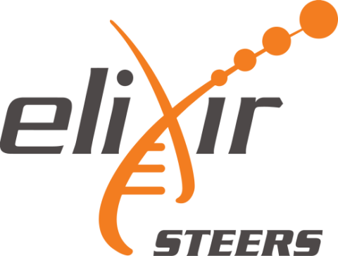 ELIXIR-STEERS - Developing, consolidating and optimising ELIXIR as an European research infrastructure