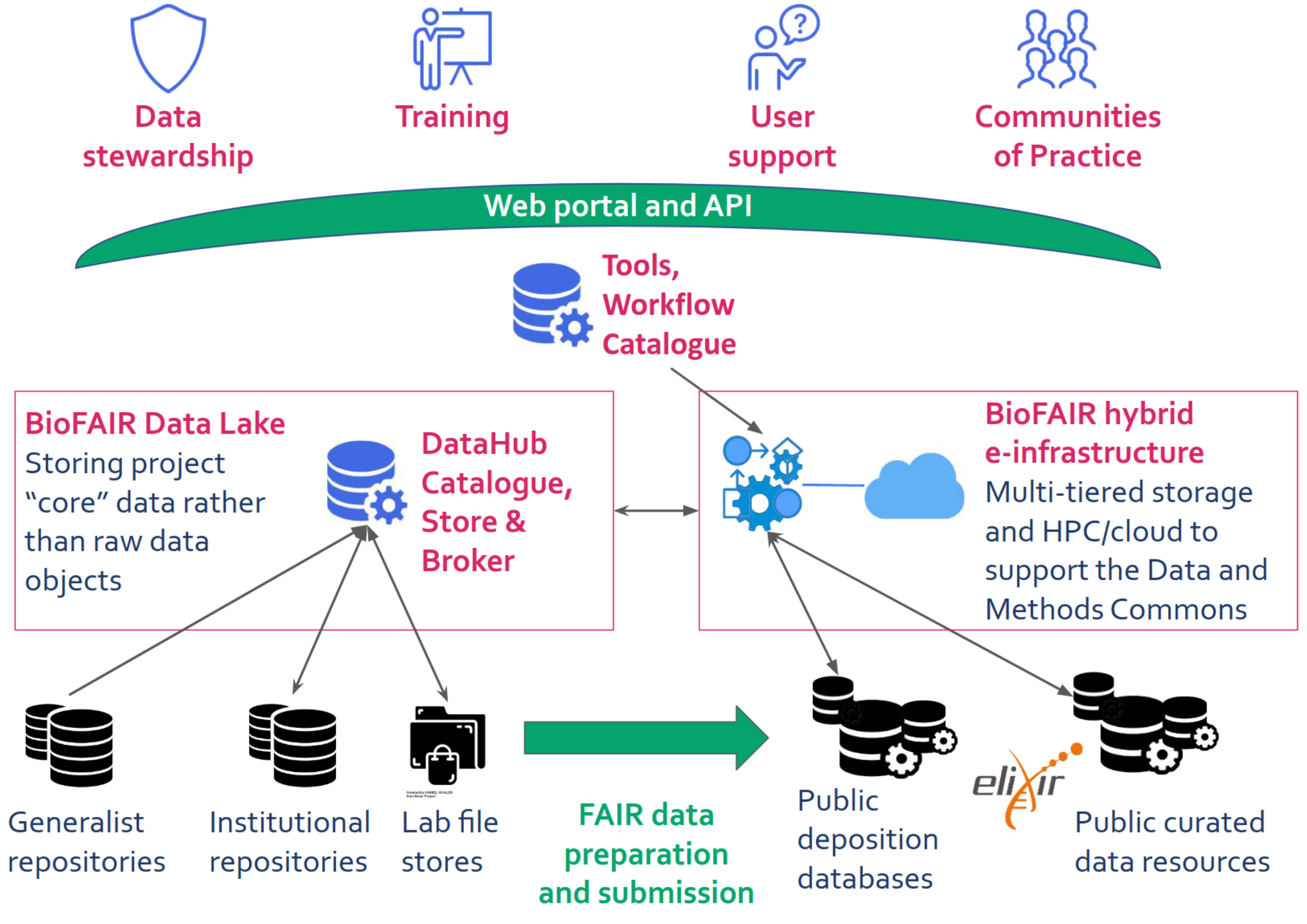 BioFAIR overview: Data Stewardship, Training, user support, communities of practice. Uses Web Portal and API, covered by Tools, workflow catalogue. Calls BioFAIR hybrid e-infrastructure, multi-tiered storage and HPC/cloud to support the Data and Methods Commons. This access public deposition databases and public curated data resources in ELIXIR and beyond.  The e-infrastructure works with the BioFAIR Data Lake, that store project "core" data rather than raw data objects, in a DataHub Catalogue, Store & Broker. Calls then Generalist repositories, Institutional repositories and Lab file stores.  Through FAIR Data preperation & submission these can be lifted into the Public deposition databases.